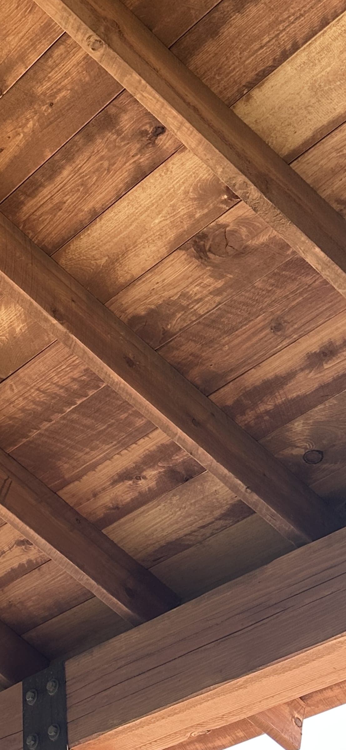 Stained decking between the pavilion rafters seen from below
